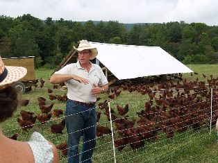 Joel Salatin holds a hen during a tour of Polyface Farm.