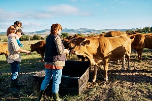 The farming essentials webinar