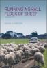 running a small flock of sheep