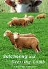 Butchering and Dressing Lamb (DVD)