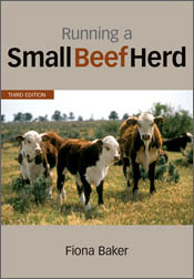 Running a small beef herd