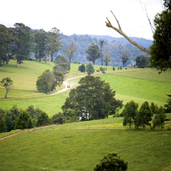 Making cents of carbon emissions on-farm.