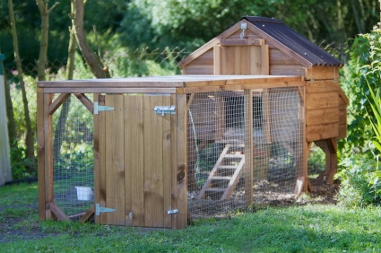 An ideal chicken coop for keeping chickens