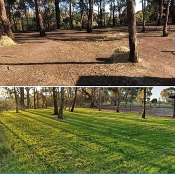 Pasture improvement on small farms